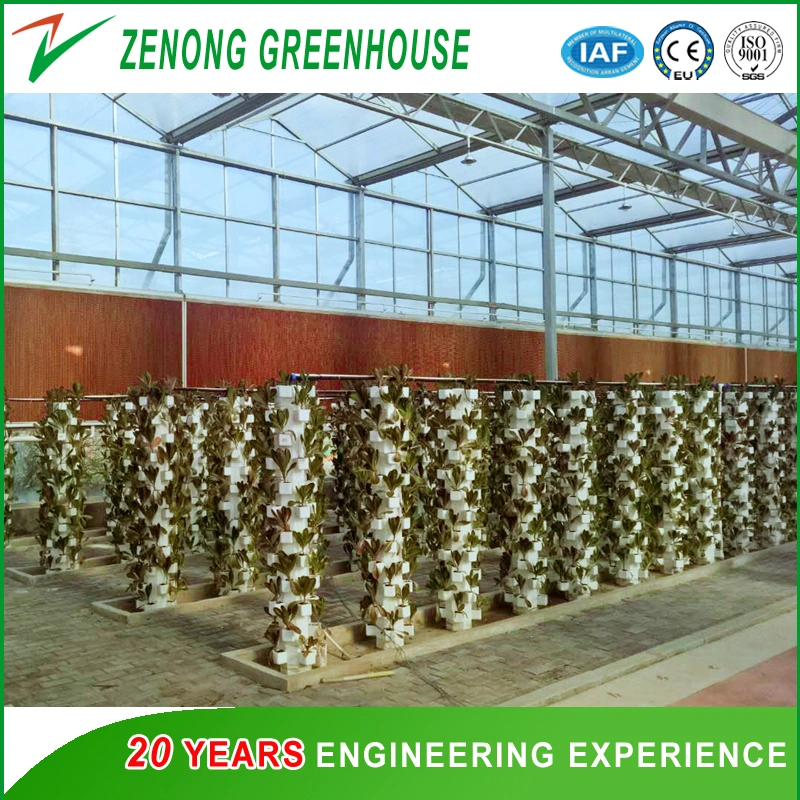 Various Types of Green House Hydroponics Products for Tourism Sightseeing/Gardening/Experiment