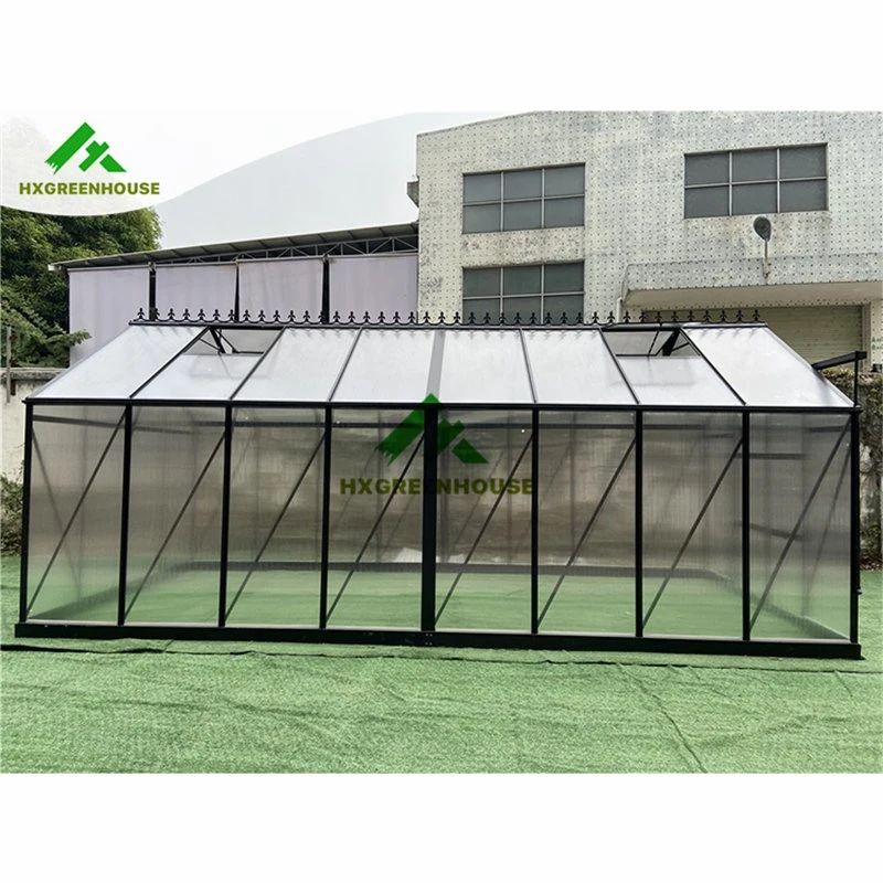 Hot Sale 10mm Polycarbonate Huixin Green Houses Aluminum Frame House Other Garden Greenhouse