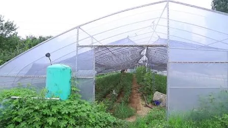 Сельскохозяйственная однопанельная арочная садовая теплица с гидропонной системой выращивания для сельского хозяйства/птицы/овощей/помидоров/клубники
