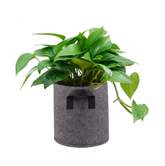 Сумка из тканевого фетра на 5 галлонов Smart Grow для контейнеров для выращивания картофеля с ручками