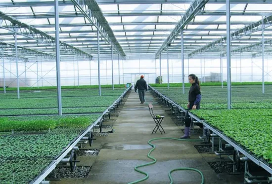 Стол для выращивания семян в теплице с отливами и отливами, подвижный стенд для рассады/выращивания